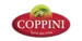 cat_coppini_1.png cat_coppini_1.png
